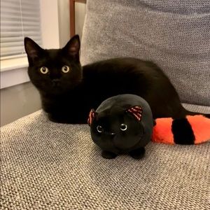 Meet your Posher, Athena